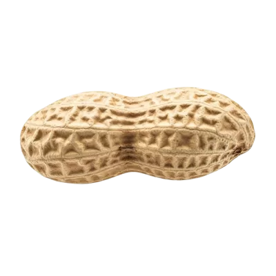 Imagen PNG para descargar